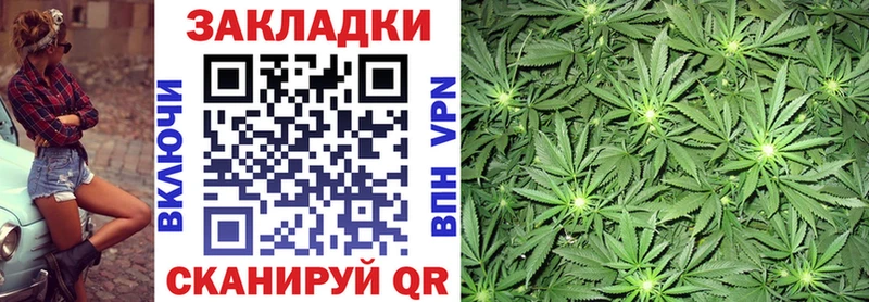 Купить закладку Курчалой mega маркетплейс  Меф  КОКАИН  A PVP 