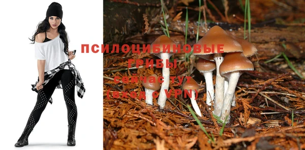 герыч Алексин