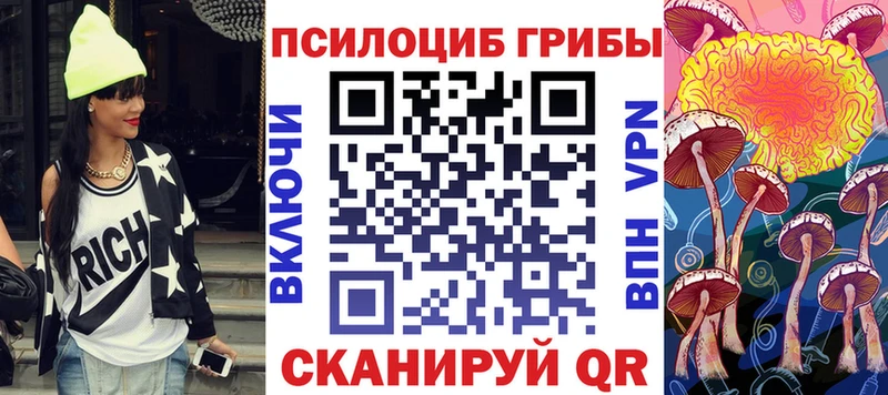 как найти   Курчалой  мега рабочий сайт  Псилоцибиновые грибы Psilocybine cubensis 