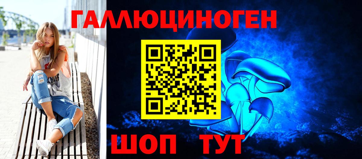 Курчалой  Галлюциногенные грибы Psilocybe  Галлюциногенные грибы MAGIC MUSHROOMS  Вход с VPN 